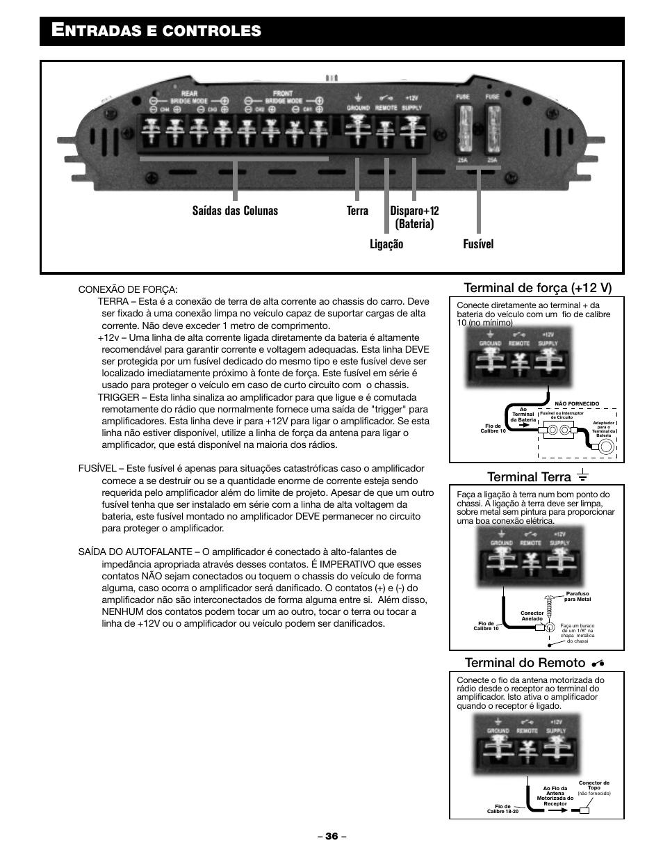 Ntradas e controles, Terminal de força (+12 v), Terminal terra terminal do remoto | Blaupunkt PCA 450 User Manual | Page 38 / 44