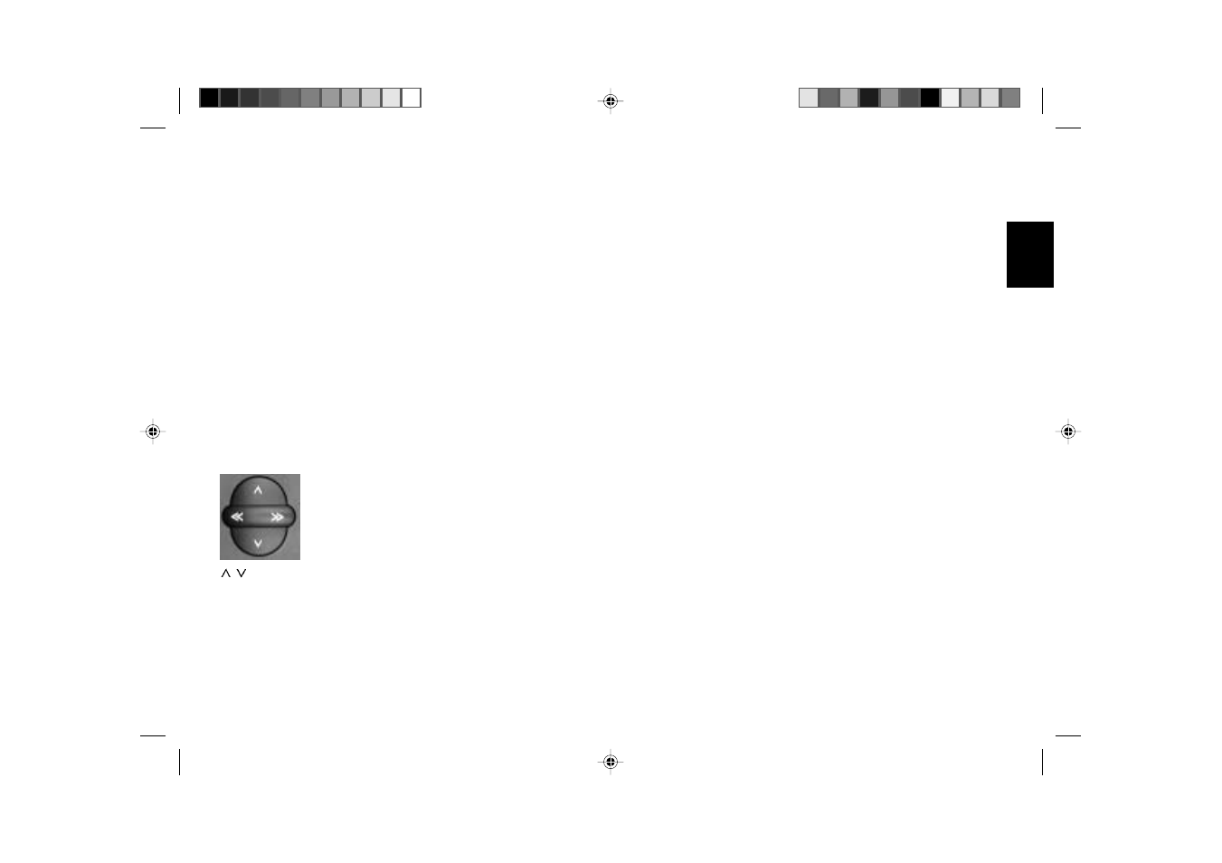 Dsc programming | Blaupunkt RCM 127 User Manual | Page 23 / 26