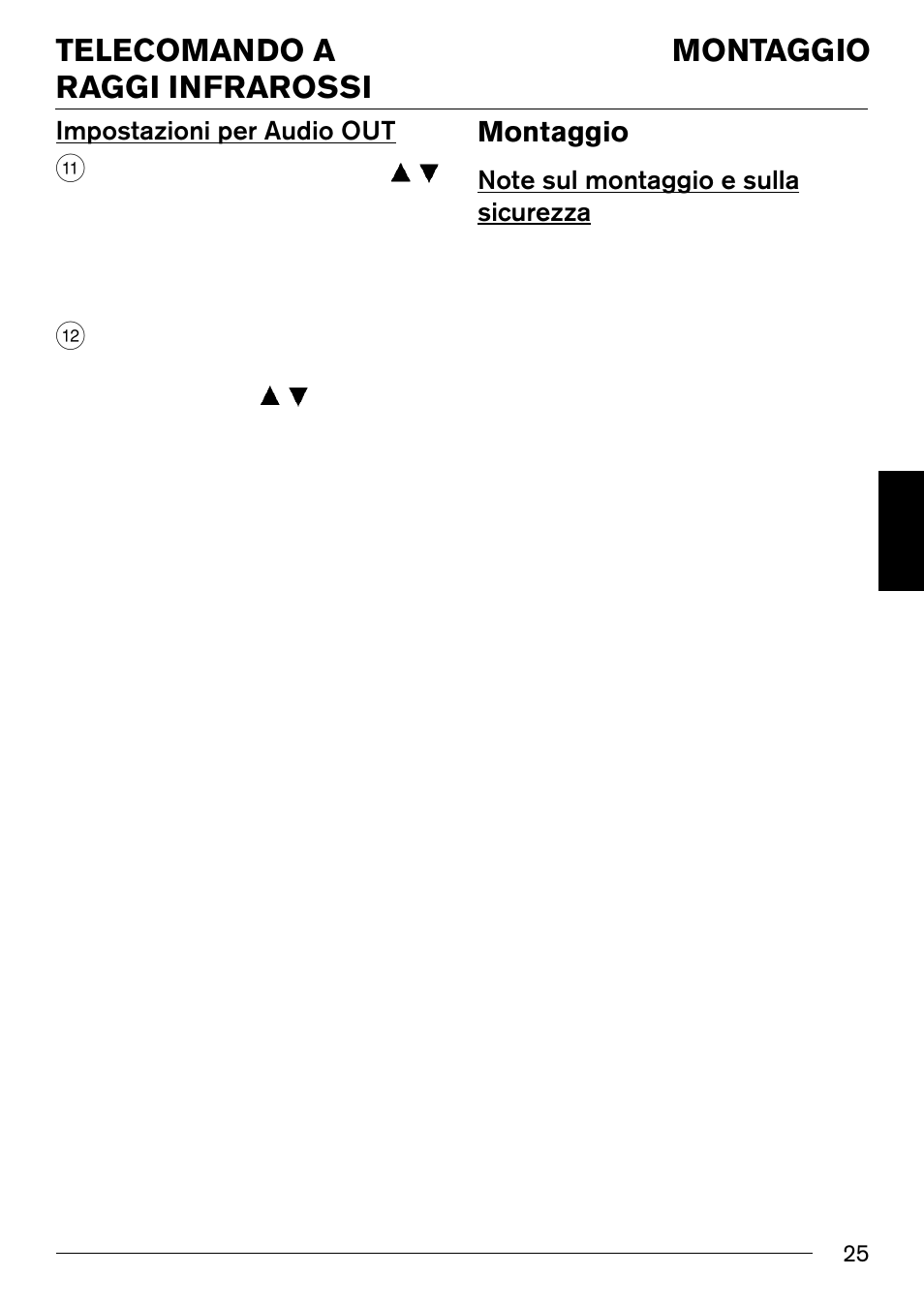 Montaggio, Telecomando a raggi infrarossi, Impostazioni per audio out | Blaupunkt IVSC-3302 User Manual | Page 25 / 62