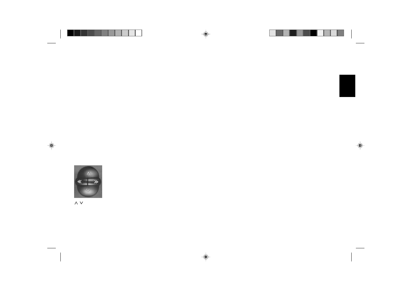 Dsc programming | Blaupunkt SAINT MALO RCM 127 User Manual | Page 20 / 23