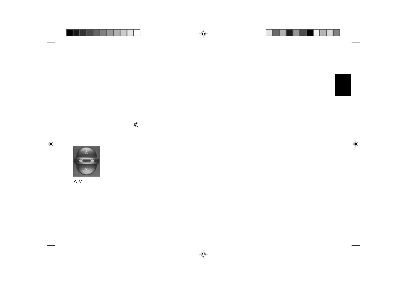 Dsc programming | Blaupunkt LONDON RDM 126 User Manual | Page 28 / 32