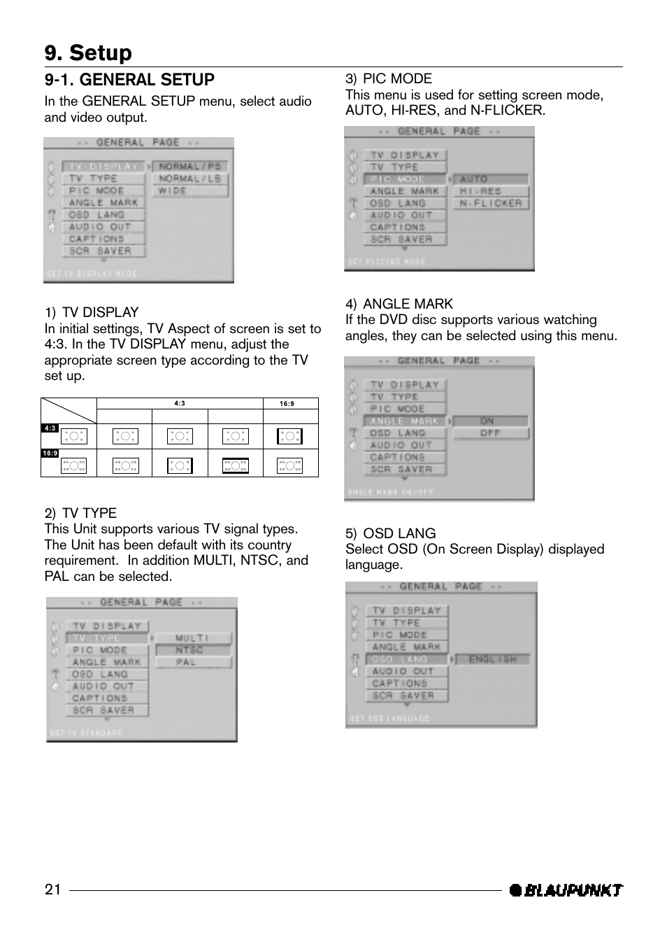 Setup | Blaupunkt DVD-ME R User Manual | Page 22 / 30