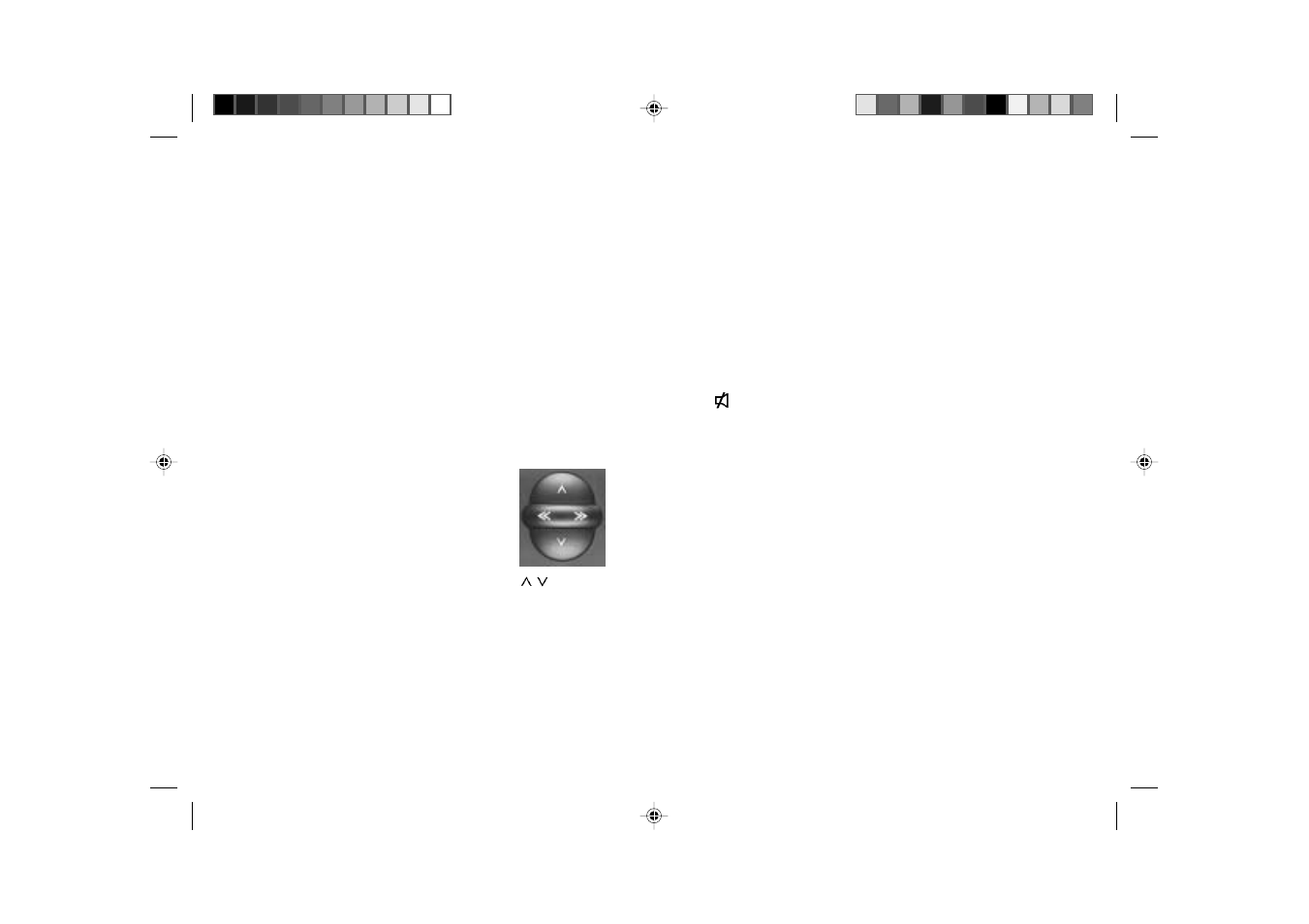 Dsc programming | Blaupunkt TORONTO RDM 126 User Manual | Page 25 / 29