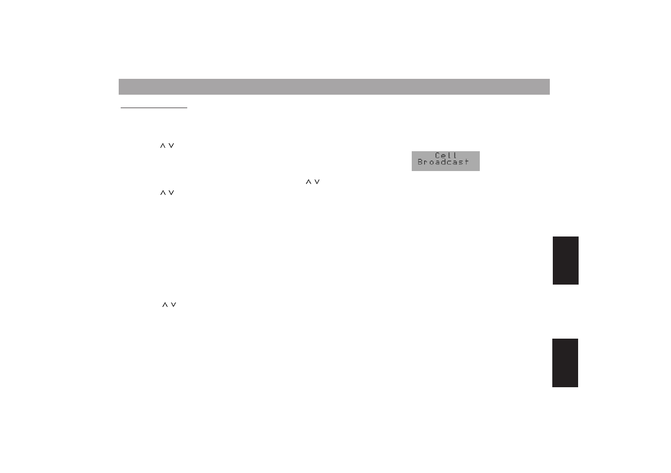Programming with dsc | Blaupunkt MONTE CARLO TCM 169 User Manual | Page 59 / 67