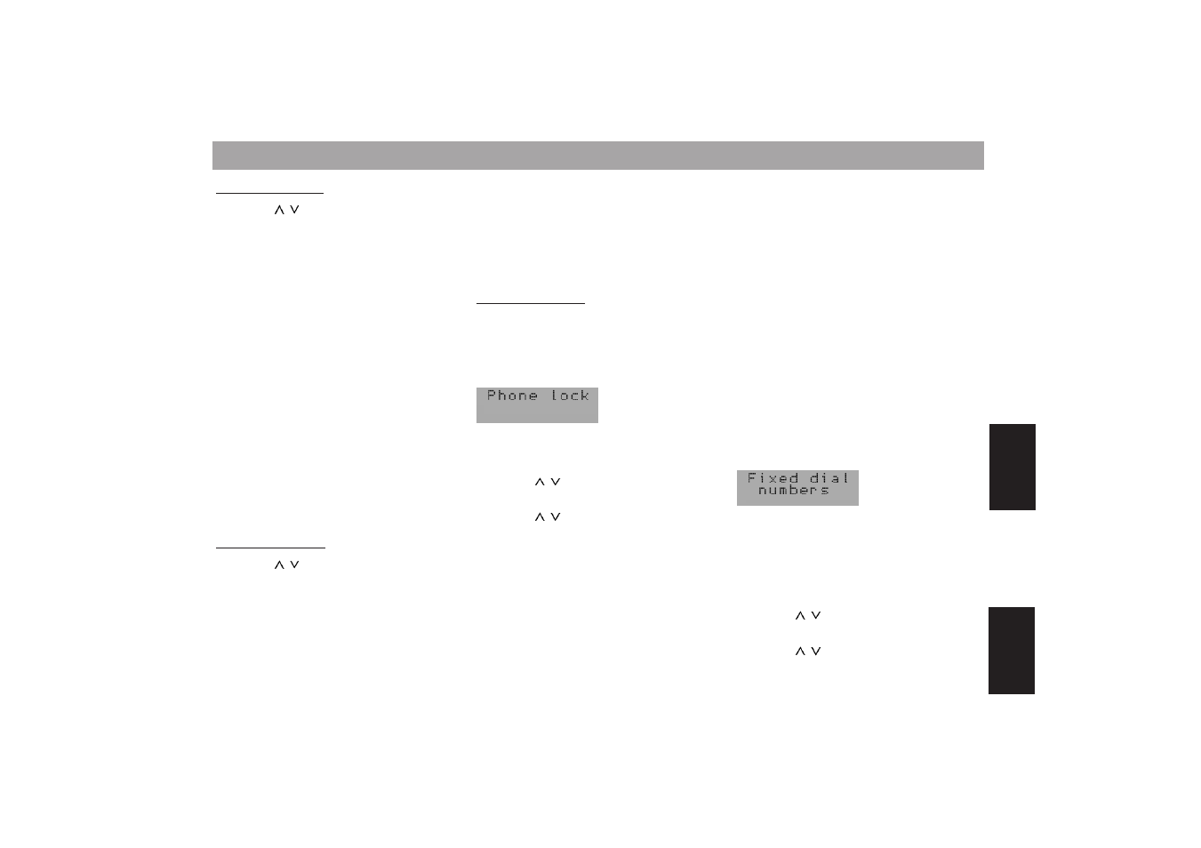 Programming with dsc | Blaupunkt MONTE CARLO TCM 169 User Manual | Page 61 / 67
