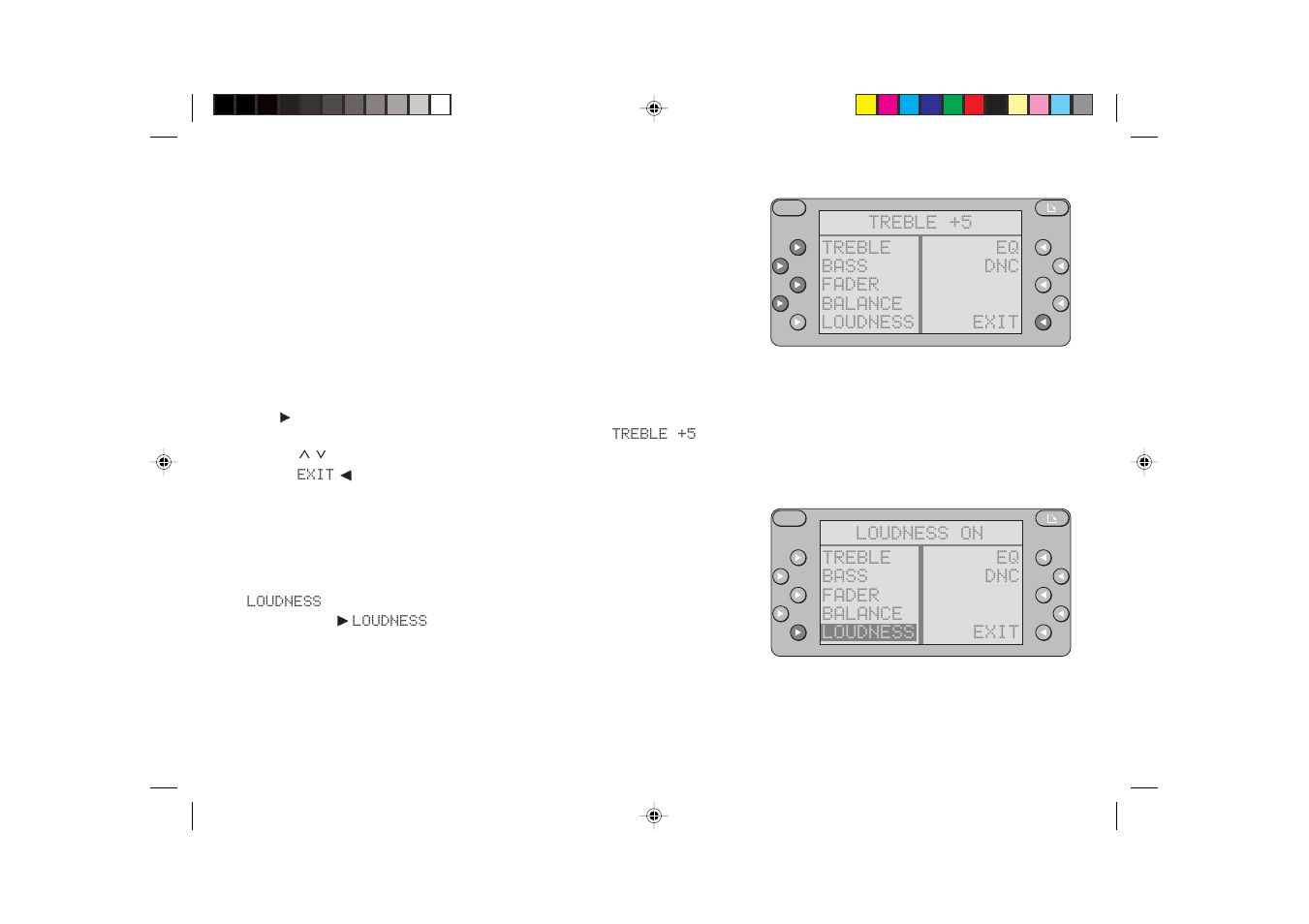 Audio settings | Blaupunkt RDM 127 User Manual | Page 55 / 70
