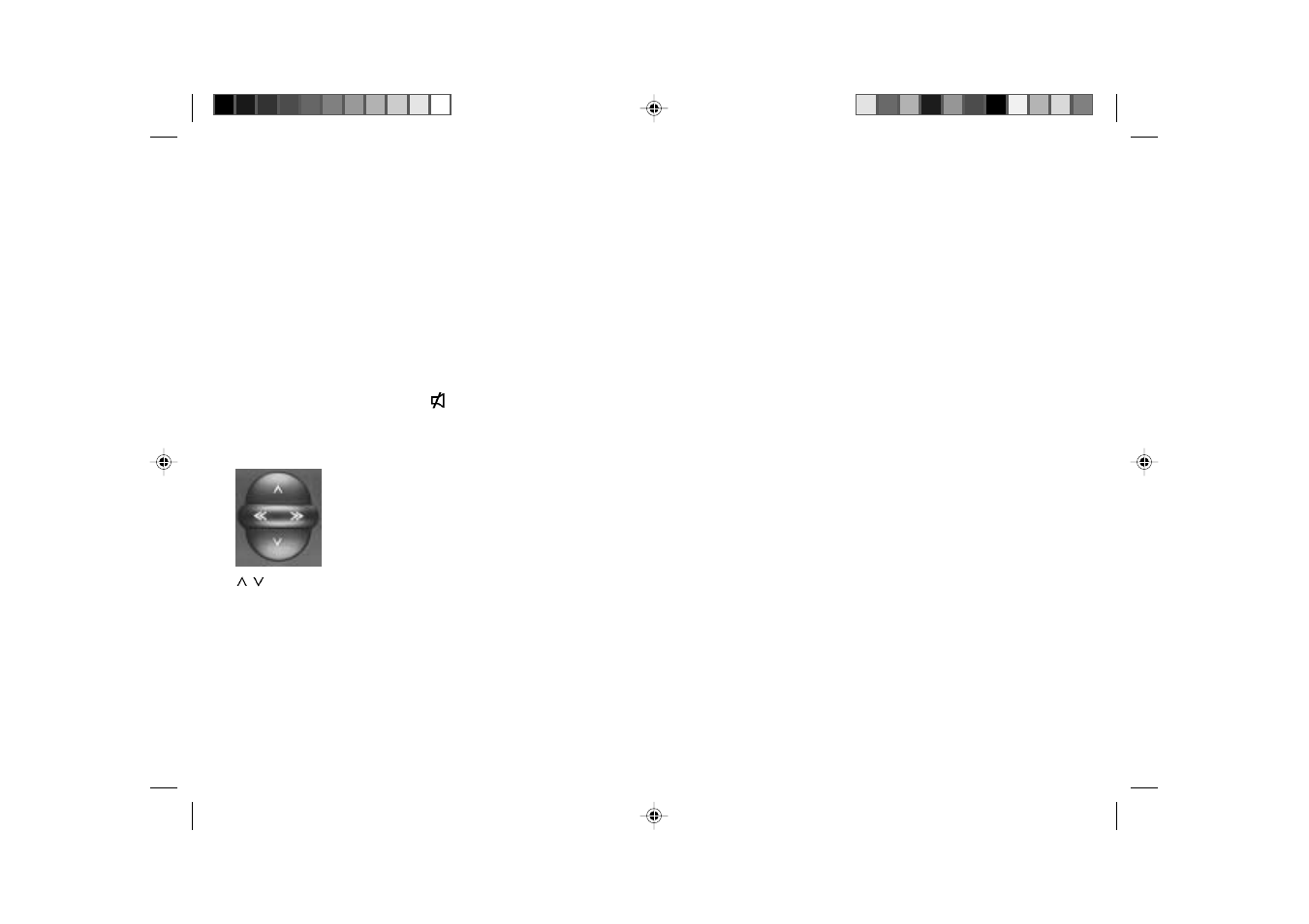 Dsc programming | Blaupunkt SAN FRANCISCO RDM 127 User Manual | Page 28 / 32