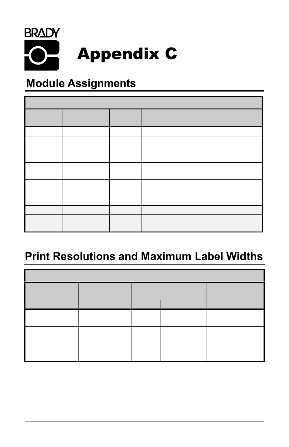 Appendix c, Module assignments, Print resolutions and maximum label widths | Brady 3481 User Manual | Page 119 / 140