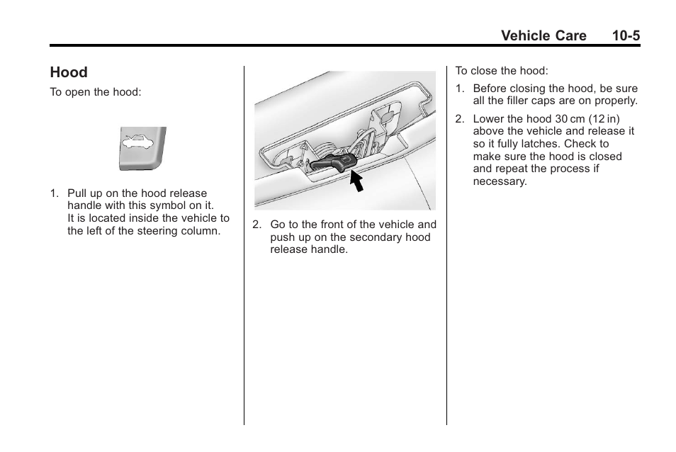 Hood, Hood on, Hood -5 | Vehicle care 10-5 | Buick 2011 Regal User Manual | Page 241 / 360