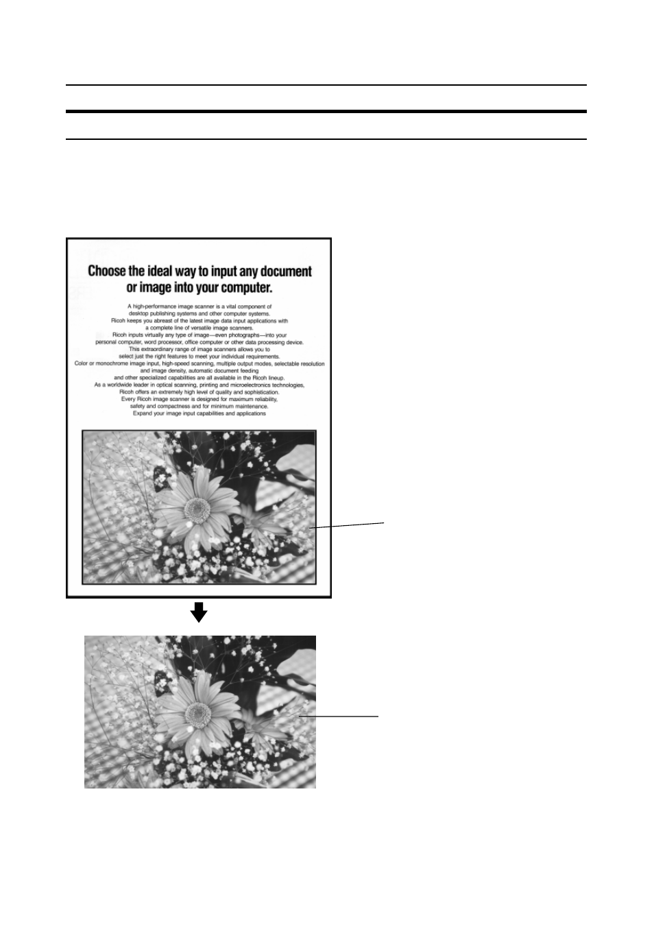 Area extraction, Auto photo/letter | Bowe, Bell + Howell S004011 User Manual | Page 60 / 71