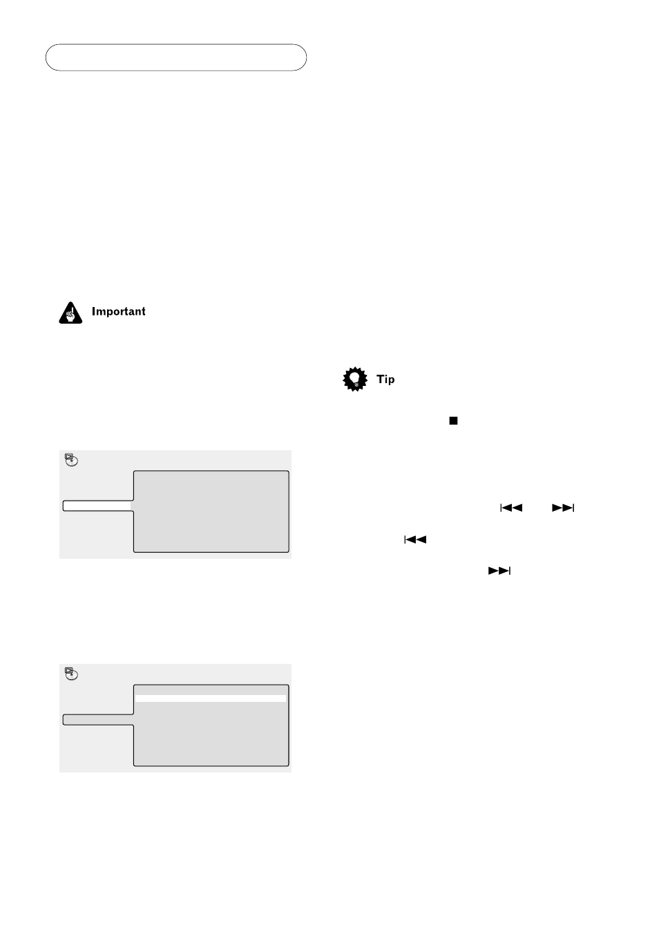 Playing discs 05, Using random play | Bel Canto Design PL-1 User Manual | Page 29 / 73