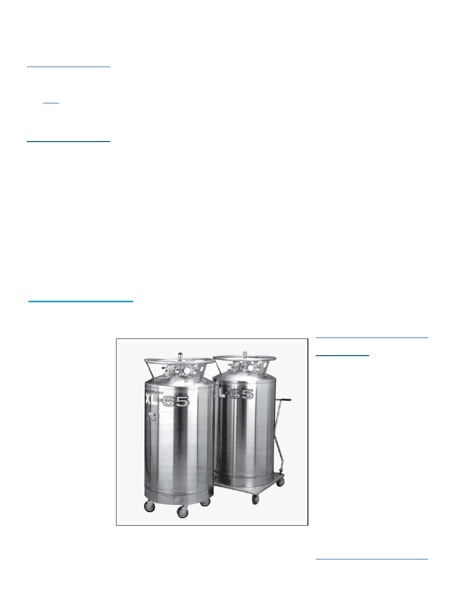 Taylor-Wharton XL-65HP (with dual regulators) User Manual | Page 4 / 26