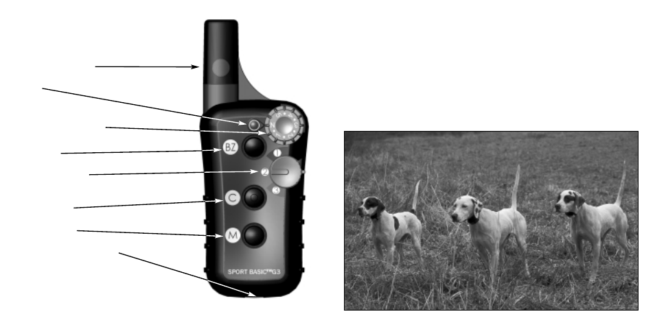 Tri-Tronics Sport Upland G3 User Manual | Page 11 / 26