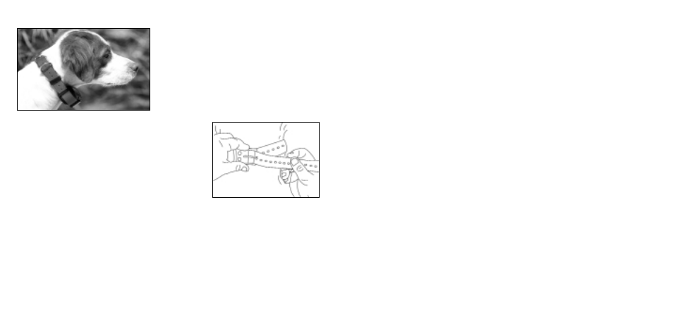 Tri-Tronics Sport Upland G3 User Manual | Page 15 / 26