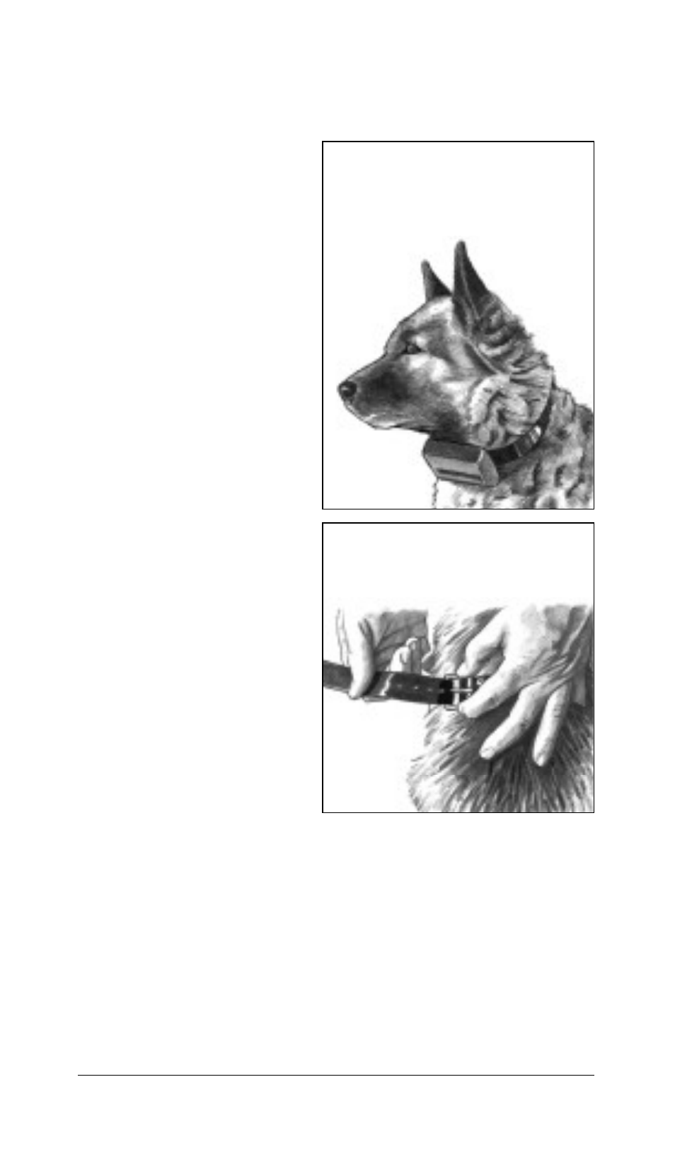Working the dog with the sportsman | Tri-Tronics Sportsman User Manual | Page 17 / 27