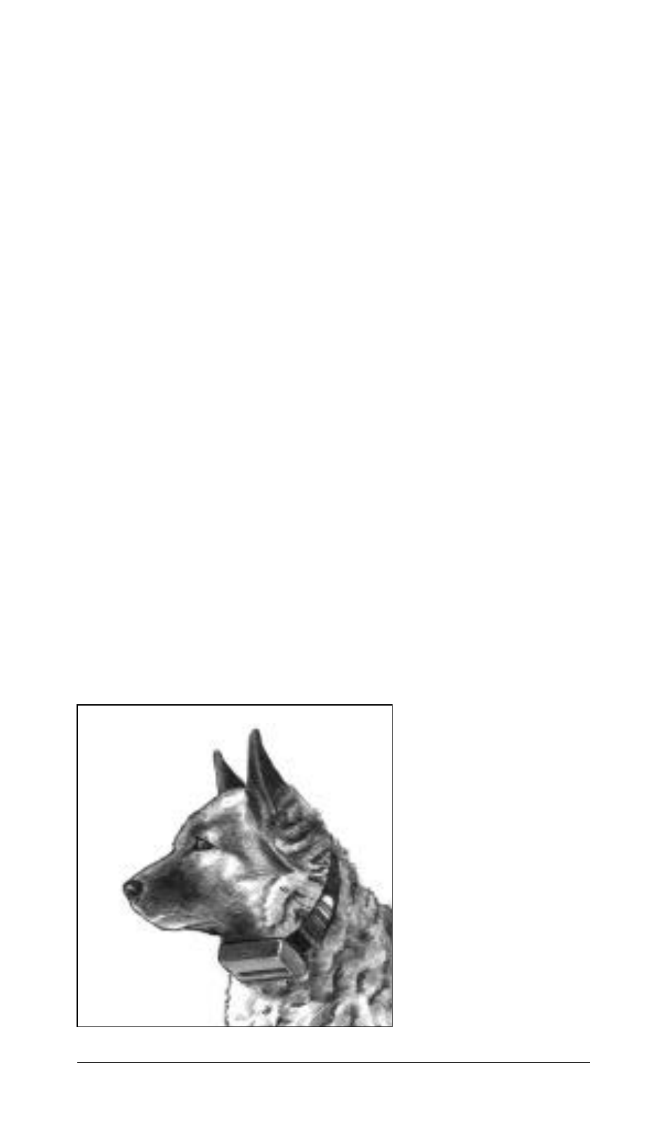 Tri-Tronics Bark Limiter – OLD User Manual | Page 10 / 18