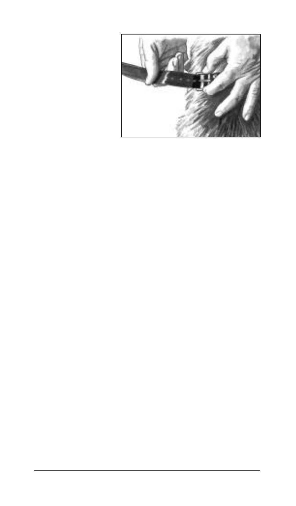 Tri-Tronics Bark Limiter – OLD User Manual | Page 11 / 18