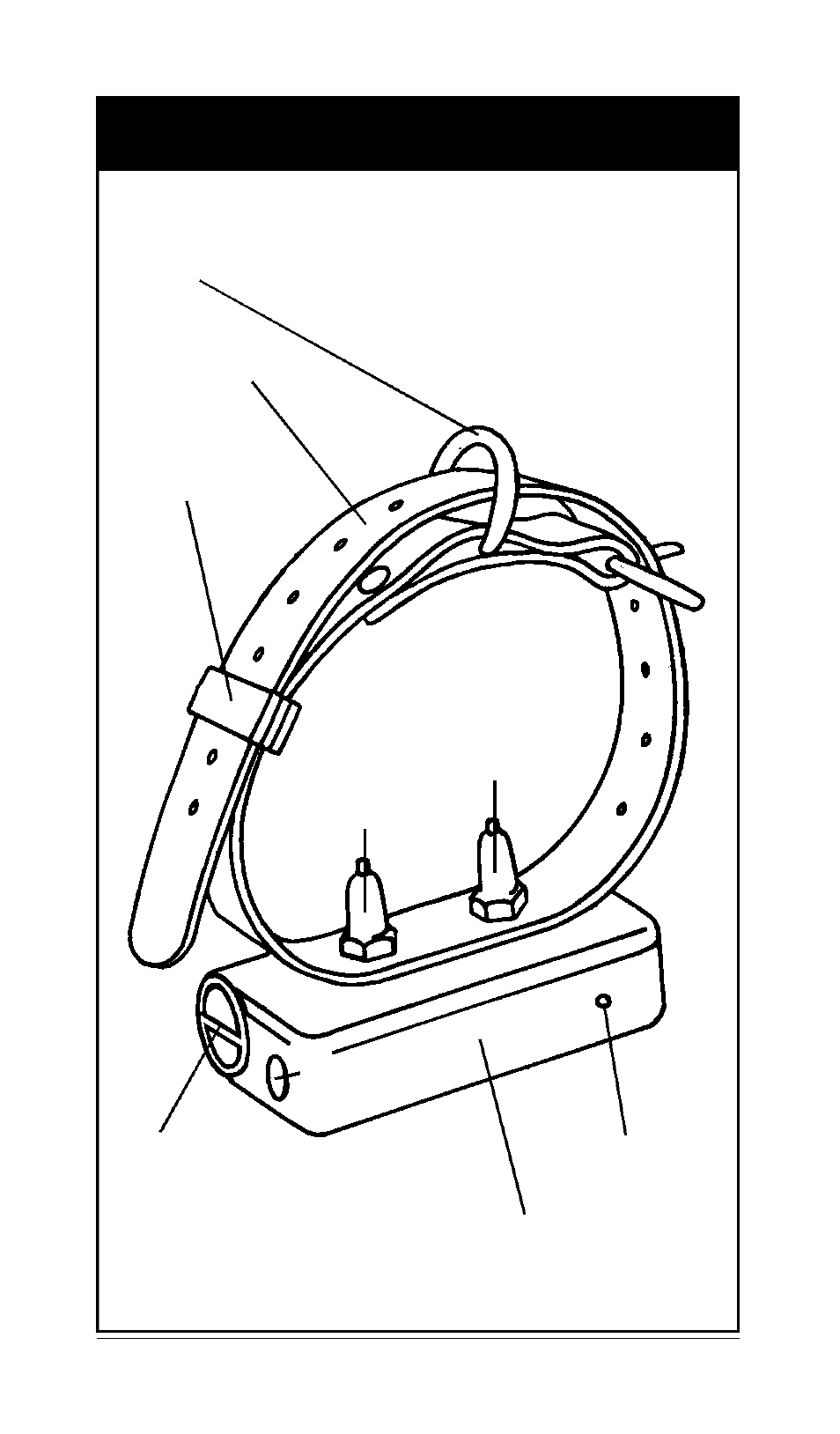 The companion collar | Tri-Tronics Companion User Manual | Page 13 / 27