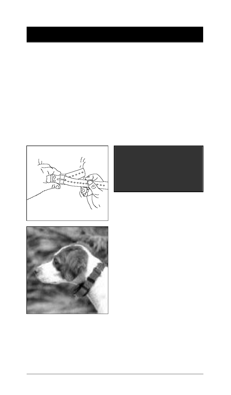 Tri-Tronics Multi Sport 3 User Manual | Page 15 / 32