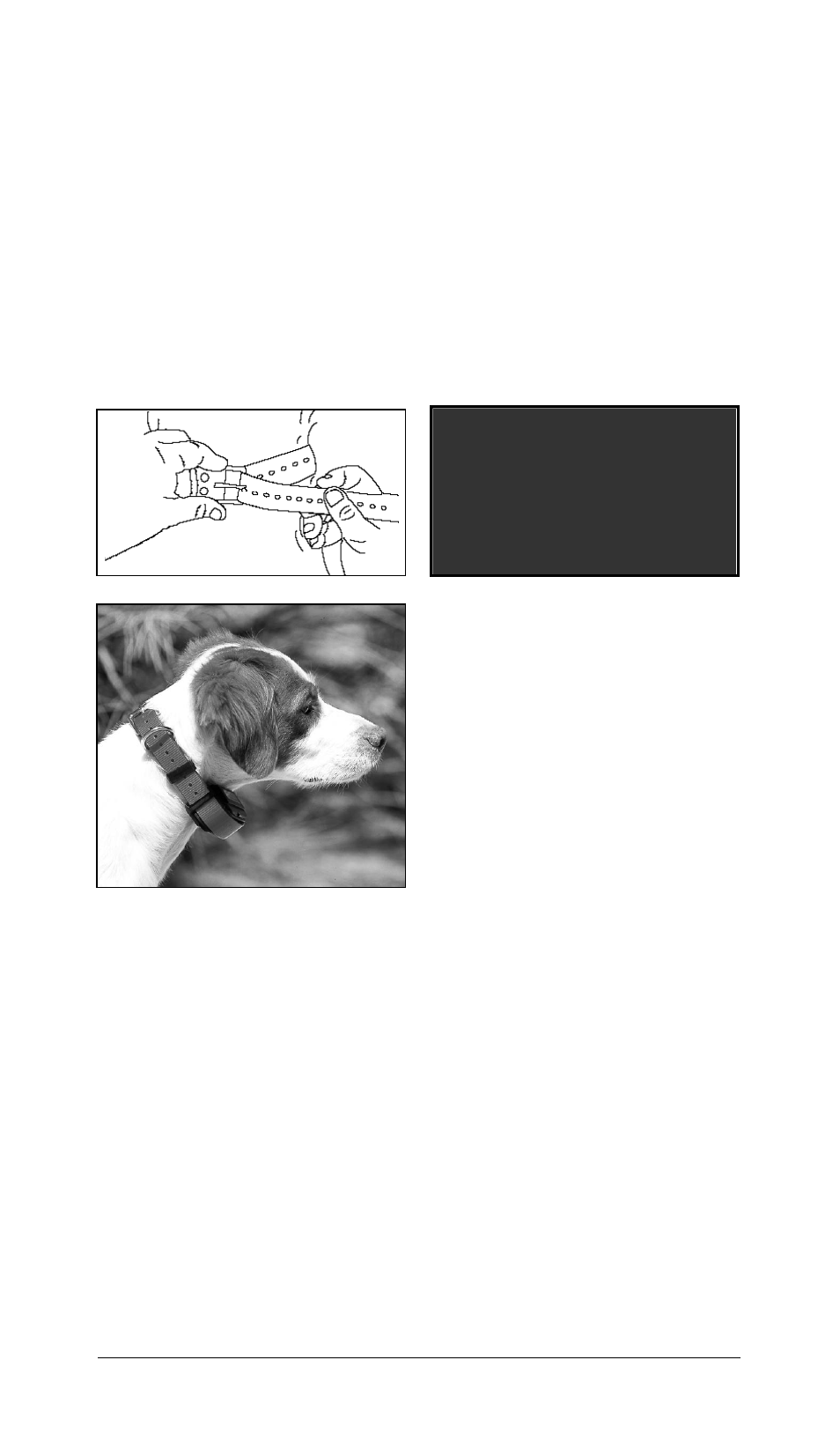 Fitting the collar on the dog | Tri-Tronics Sport® Series Remote Trainers User Manual | Page 14 / 28