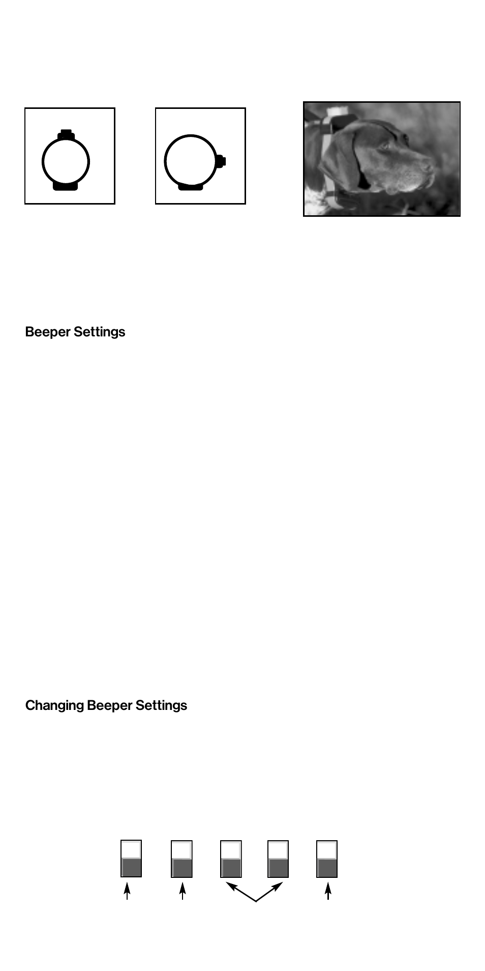 Beeper settings, Changing beeper settings | Tri-Tronics G2 Tri-Tronics® Beeper User Manual | Page 3 / 6