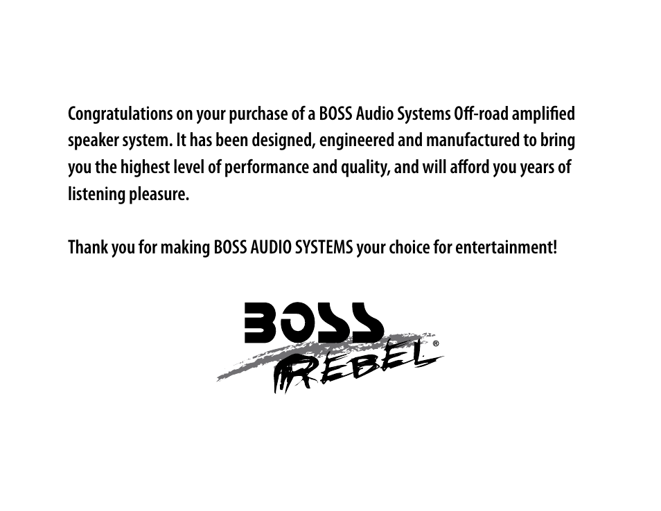 Boss Audio Systems MC300 User Manual | Page 2 / 8