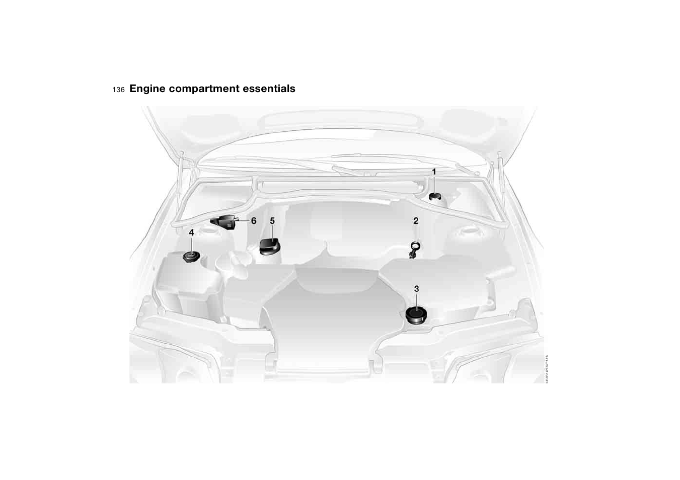 Engine compartment essentials, Engine compartment, Essentials | BMW 330CI User Manual | Page 136 / 186