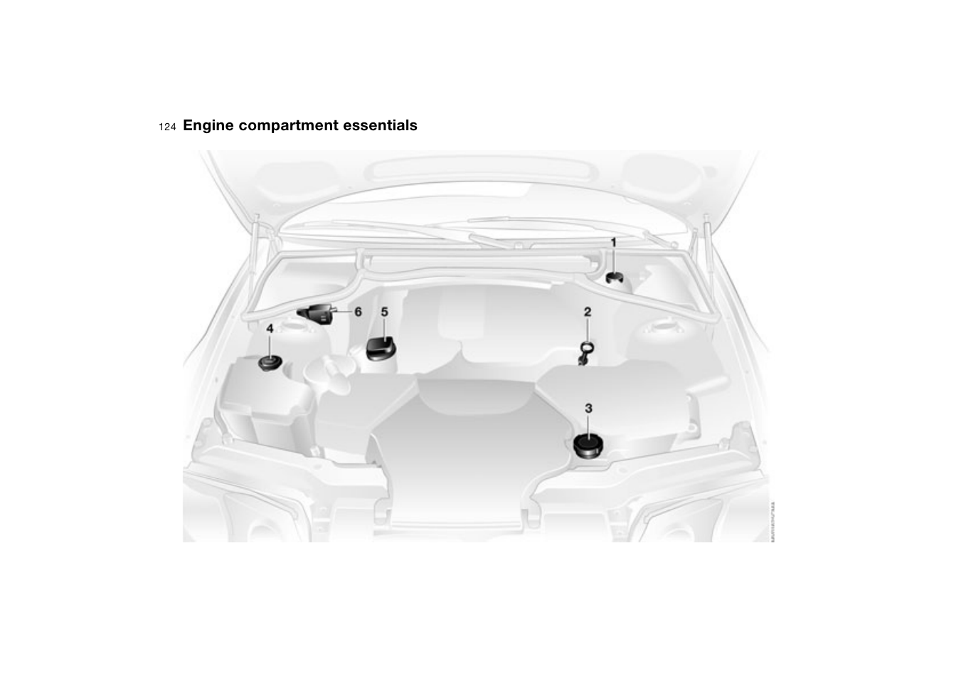 Engine compartment essentials, Engine compartment, Essentials | BMW 330XI User Manual | Page 124 / 166