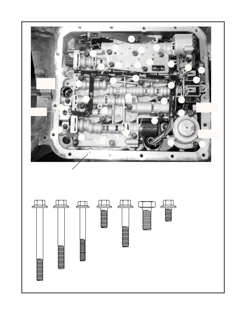 B&M 70365 TRANSPAK User Manual | Page 3 / 8