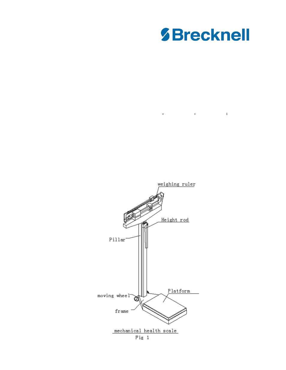 Salter Brecknell HS-200M User Manual | 4 pages