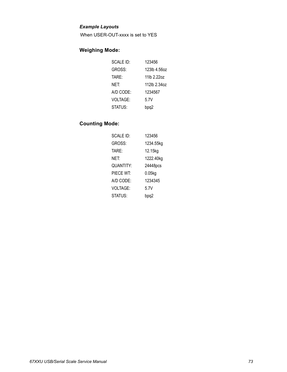 Salter Brecknell 6700U Series (USB) User Manual | Page 73 / 85