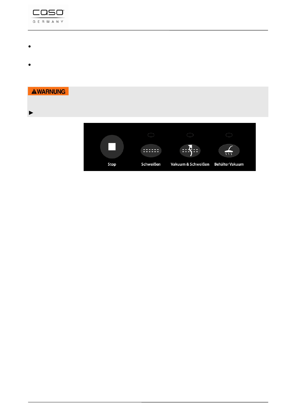 2 panel, 3 rating plate, Warning | CASO Germany VC 100 Vacuum System User Manual | Page 36 / 110