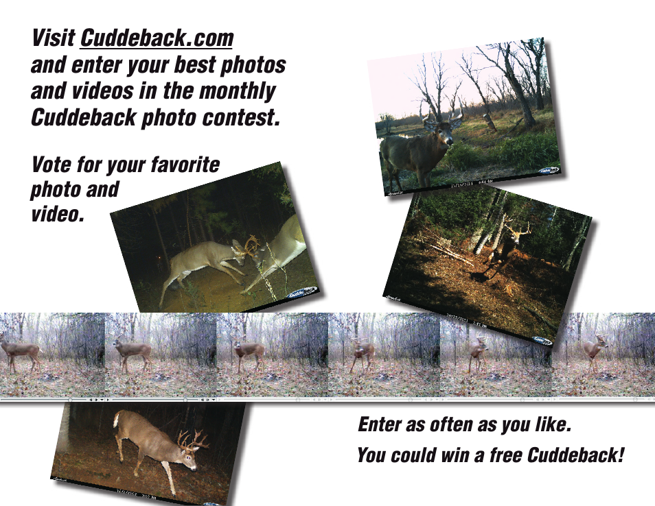 Cuddeback AMBUSH FAMILY User Manual | Page 18 / 19
