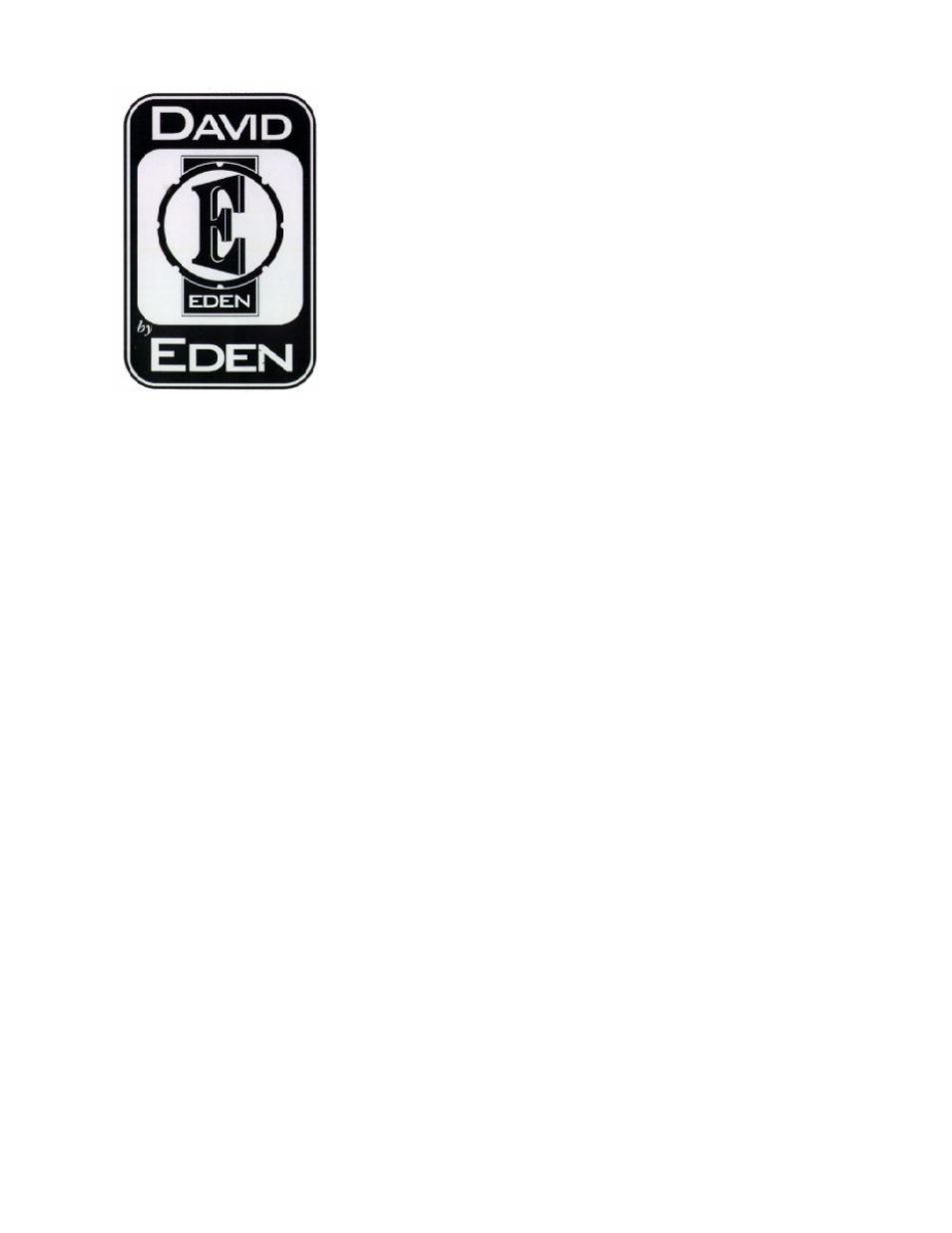 Eden DC-210XLT Metro 2003 User Manual | 13 pages