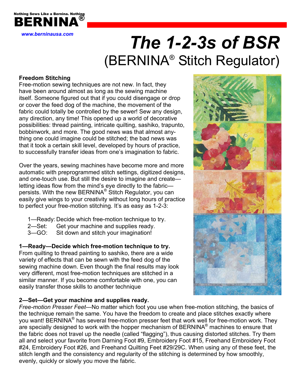 Bernina Switch Regulator User Manual | 3 pages