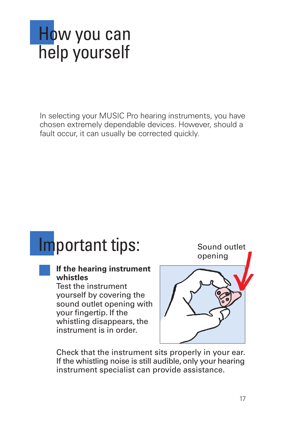 How you can help yourself, Important tips | Siemens MUSIC Pro Pro IT User Manual | Page 17 / 24