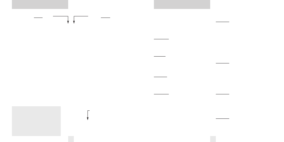 Overview of programming, Details of programming, Pilot (power-on indication) | Voice, Power-on sequence, Automute | Beltronics V955 User Manual | Page 8 / 16