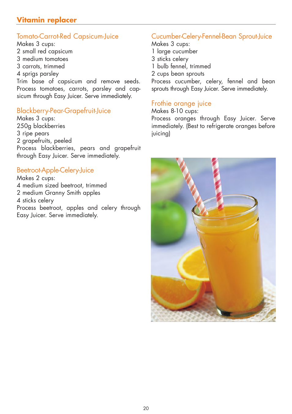 Gastroback 40118 Easy Juicer User Manual | Page 20 / 28