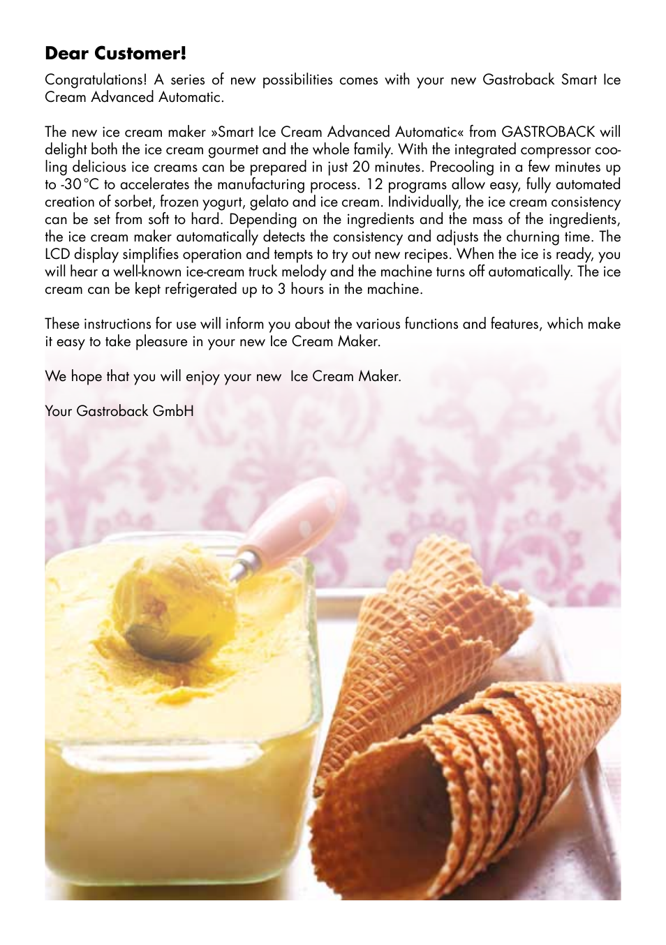 Dear customer | Gastroback 42909 Smart Ice Cream Advanced Automatic User Manual | Page 3 / 28