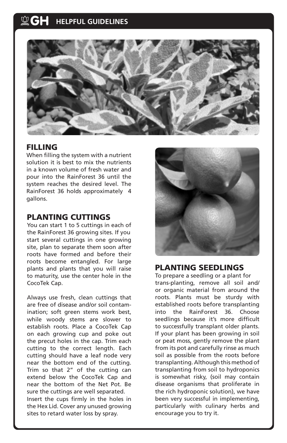 Planting cuttings, Filling, Planting seedlings | General Hydroponics New RainForest 36 User Manual | Page 6 / 8