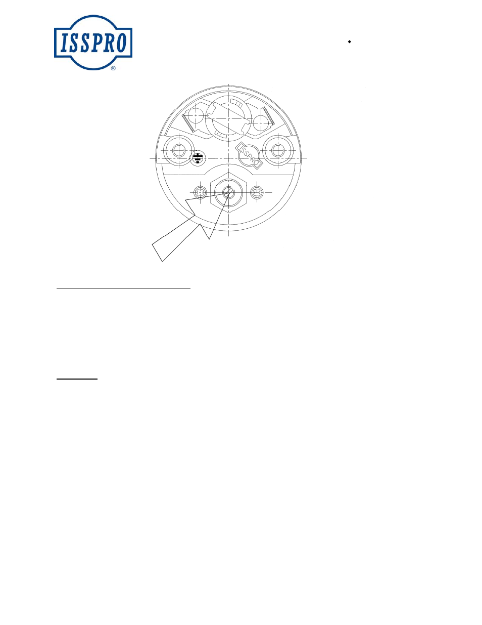 ISSPRO R6853R User Manual | 2 pages