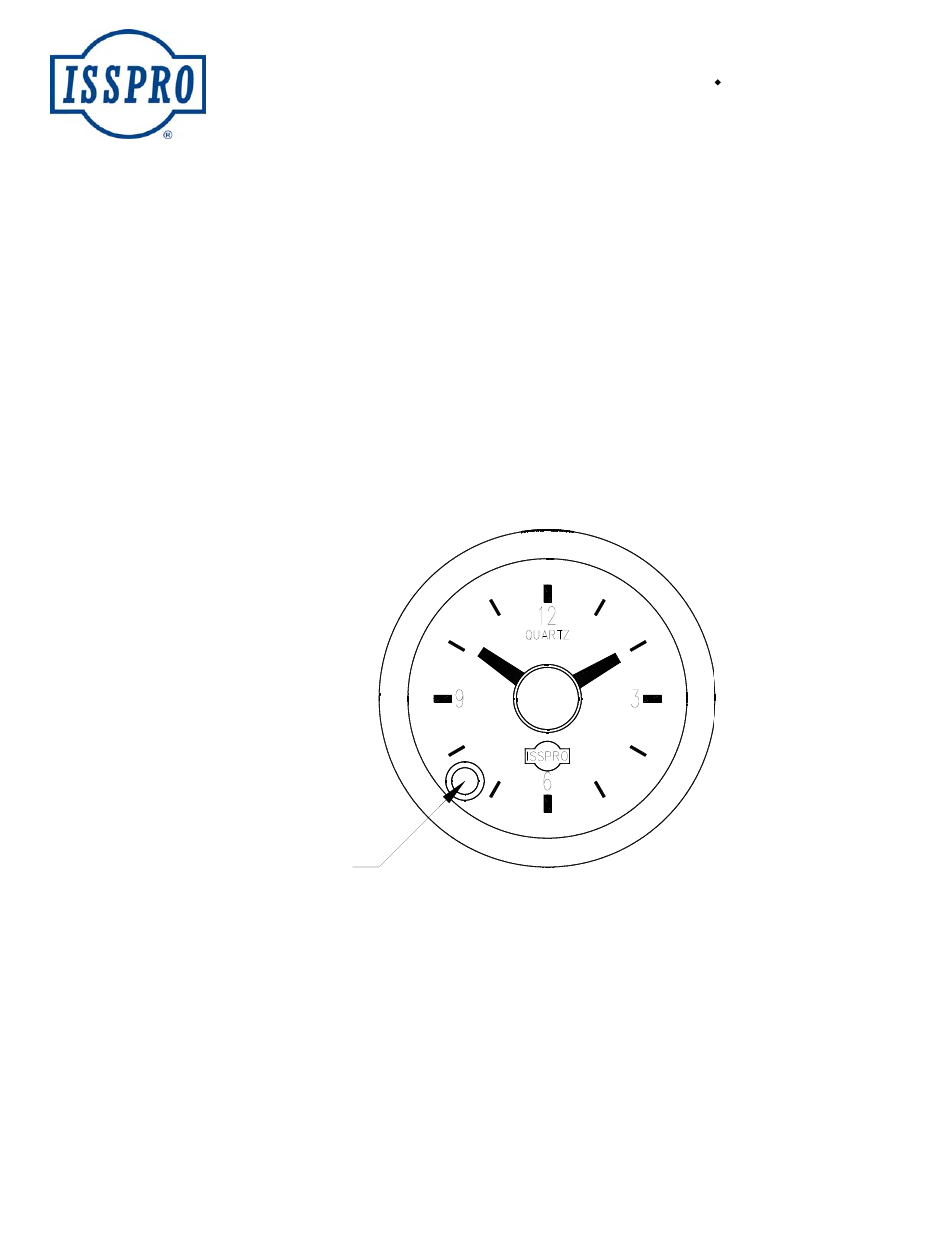 ISSPRO R6795 User Manual | 1 page