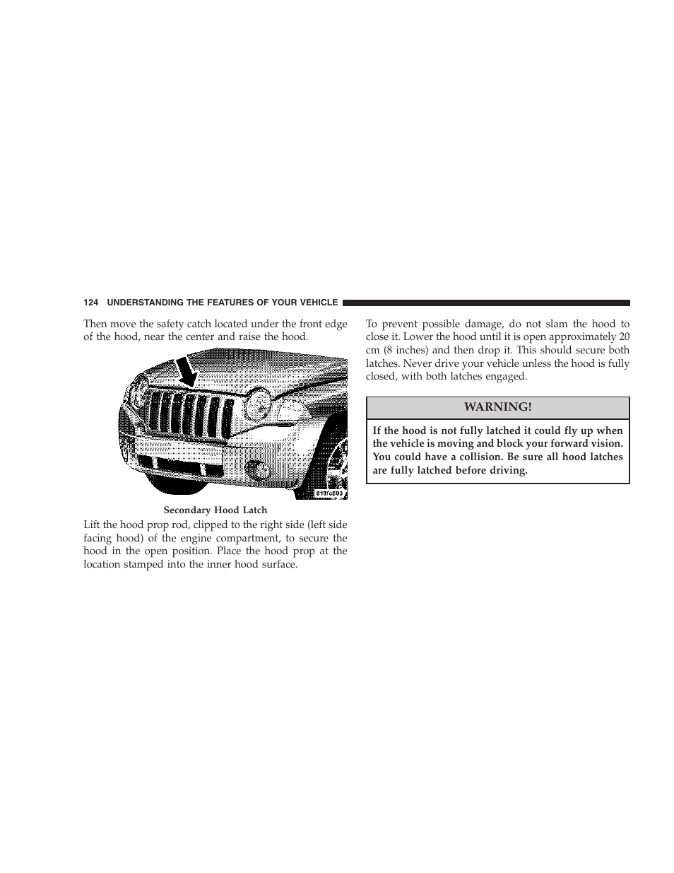 Jeep 2007 Compass User Manual | Page 124 / 408