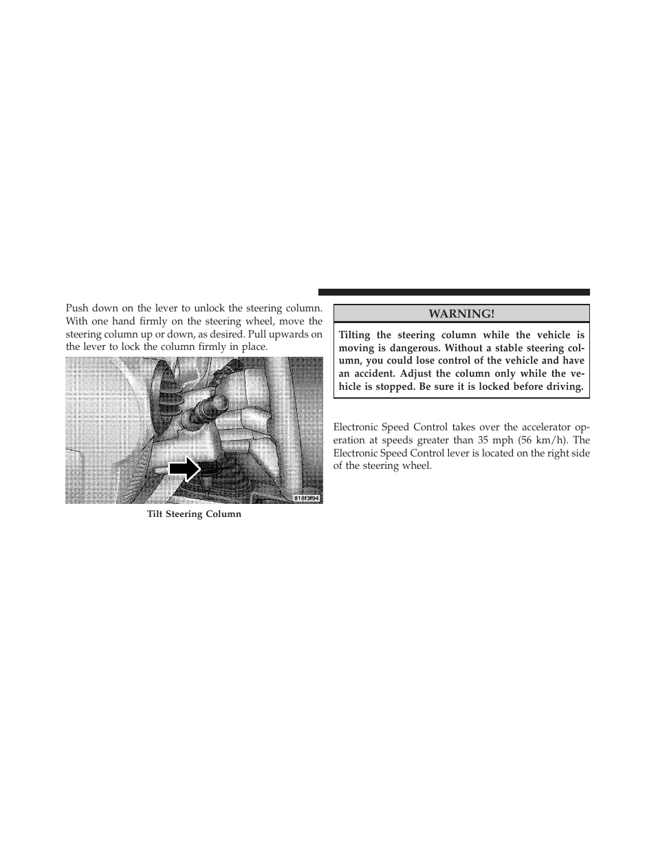 Electronic speed control — if equipped | Jeep 2009 Wrangler - Owner Manual User Manual | Page 104 / 502
