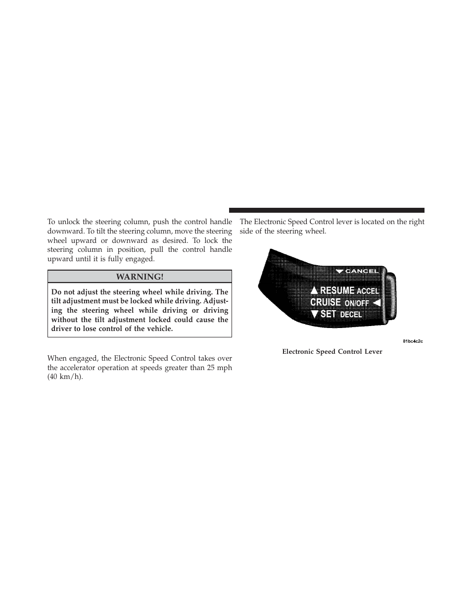 Electronic speed control — if equipped | Jeep 2010 Liberty - Owner Manual User Manual | Page 161 / 522