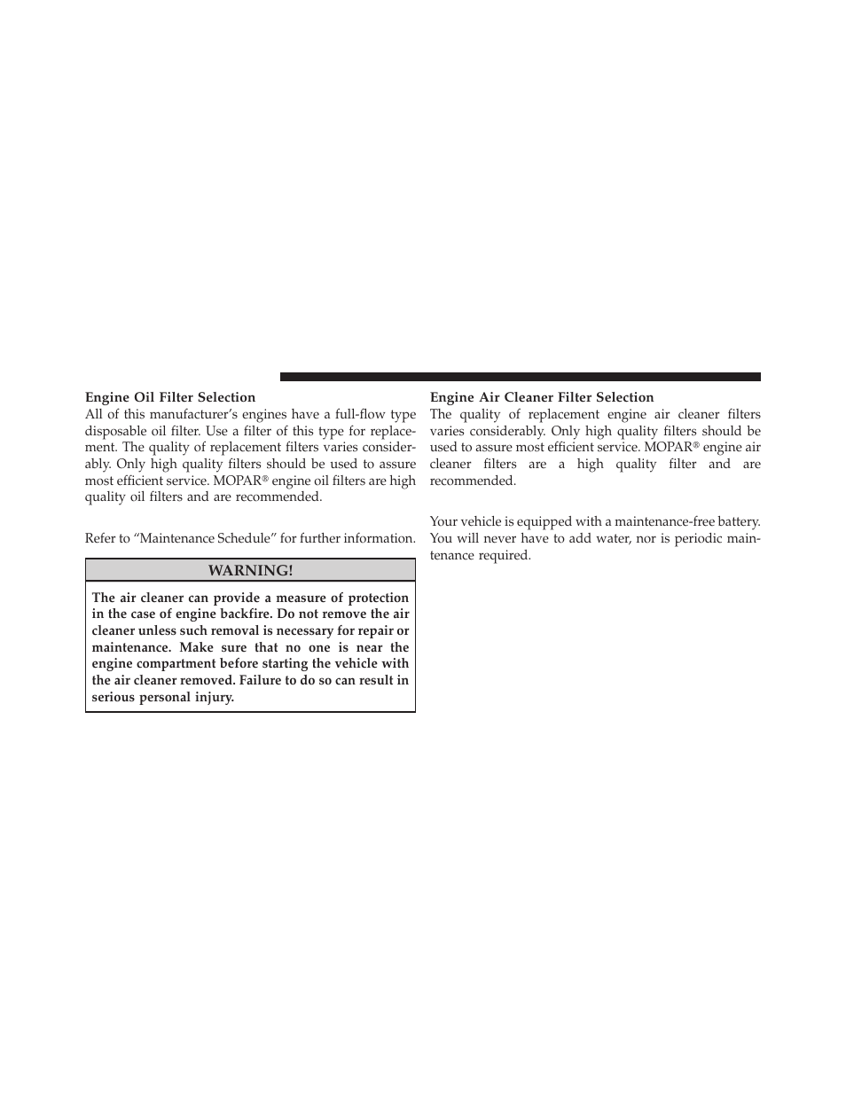 Engine air cleaner filter, Maintenance-free battery, Hazard warning flasher | Jeep 2010 Patriot - Owner Manual User Manual | Page 411 / 496