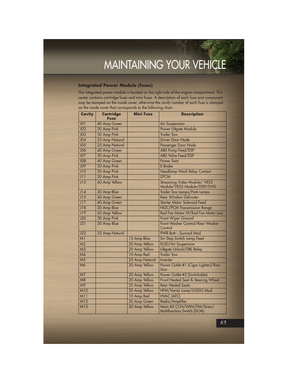 Integrated power module (fuses), Maintaining your vehicle | Jeep 2011 Grand Cherokee - User Guide User Manual | Page 87 / 100
