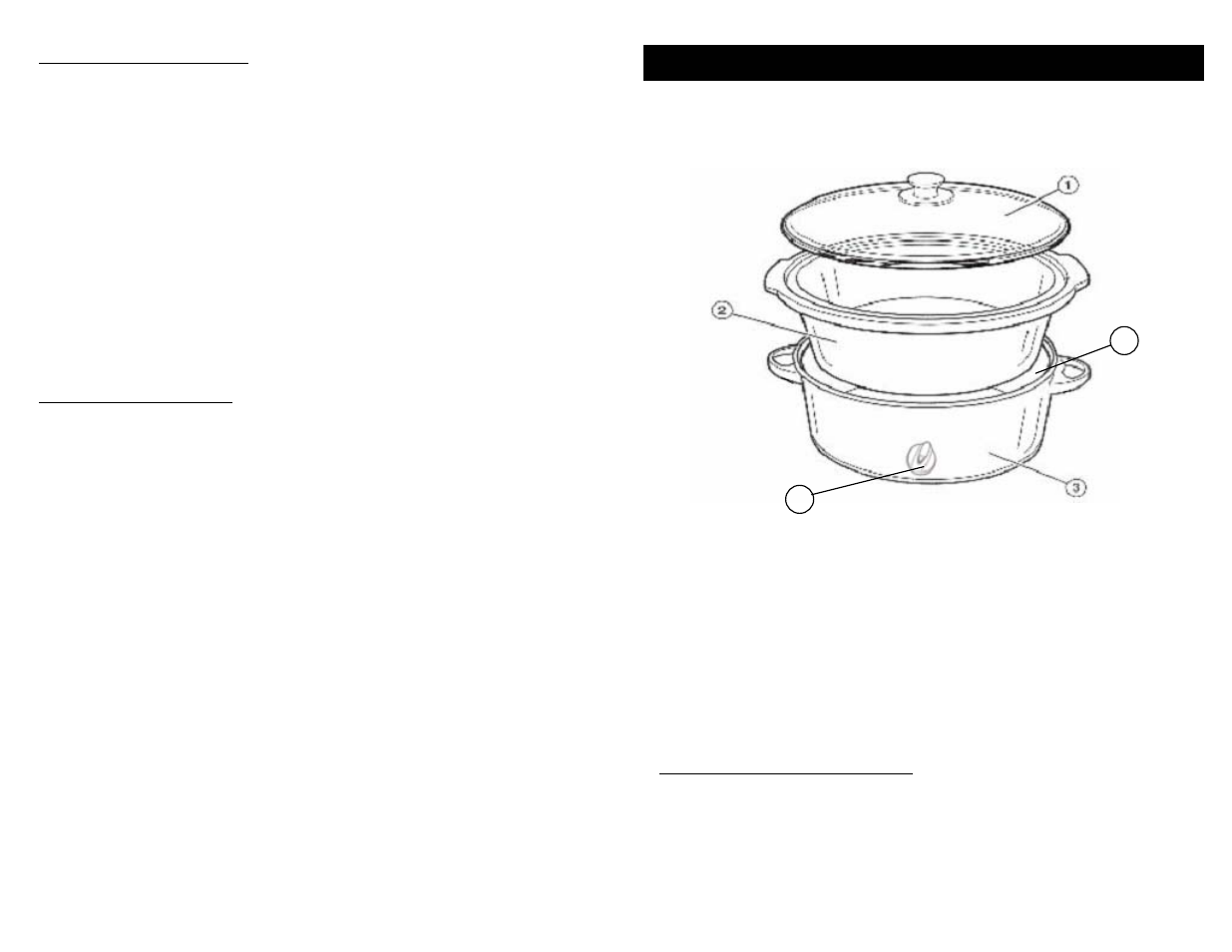 Technical specifications, Getting to know your slow cooker, Teriyaki chicken wings | Vegetable minestrone | Bravetti KC255H User Manual | Page 3 / 6