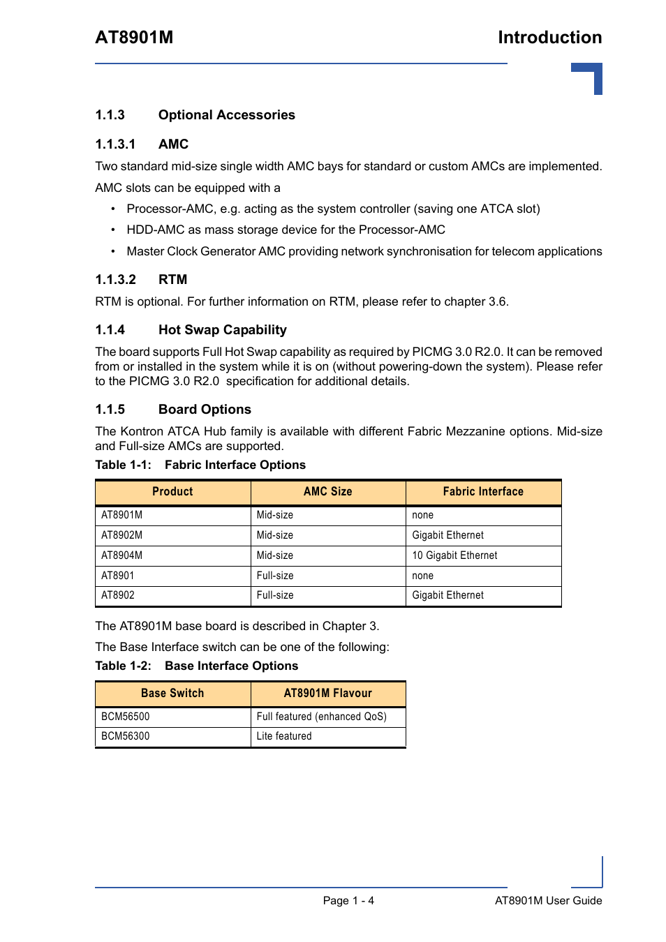 3 optional accessories, 4 hot swap capability, 5 board options | Optional accessories - 4, Hot swap capability - 4, Board options - 4, At8901m introduction | Kontron AT8901M User Manual | Page 17 / 76