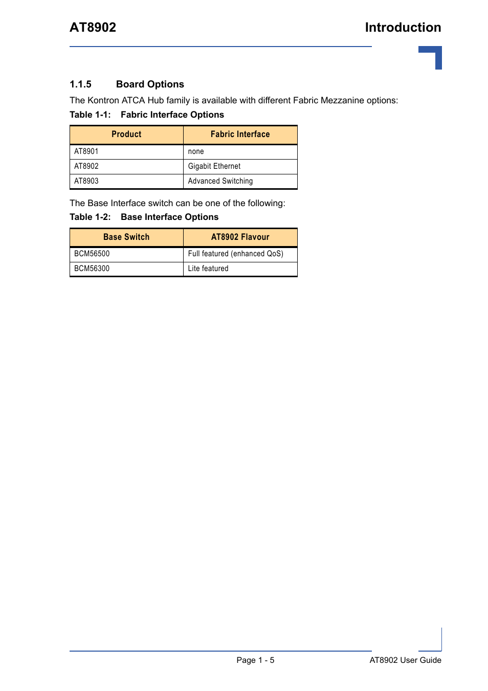 5 board options, Board options - 5, Fabric interface options - 5 | Base interface options - 5, At8902 introduction | Kontron AT8902 User Manual | Page 19 / 94